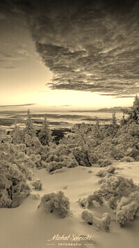 Szary + Sepia