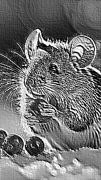 Skamielina