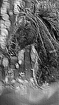 Skamielina