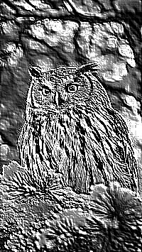 Skamielina
