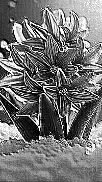Skamielina