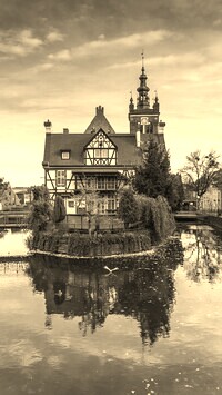 Szary + Sepia