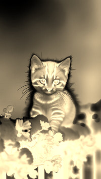 Sepia + Negatyw