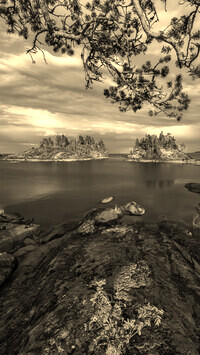 Sepia