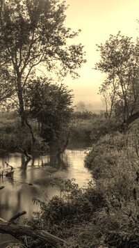 Sepia