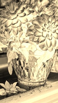 Sepia + Negatyw
