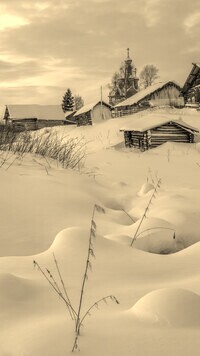 Szary + Sepia