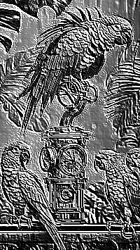 Skamielina