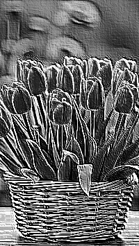 Skamielina