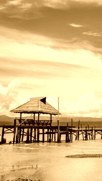 Sepia