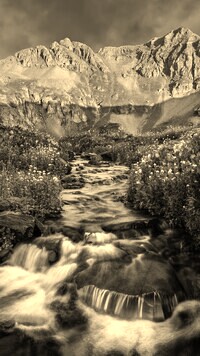 Sepia