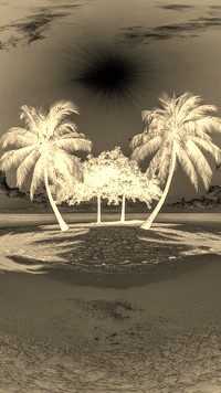 Sepia + Negatyw