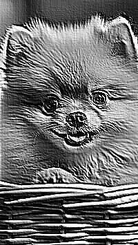 Skamielina