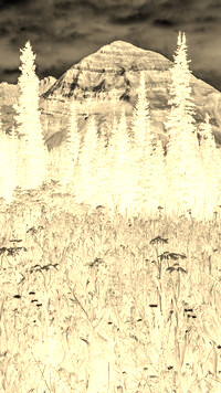 Sepia + Negatyw