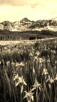 Sepia