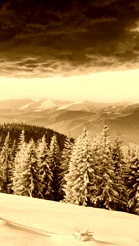 Sepia