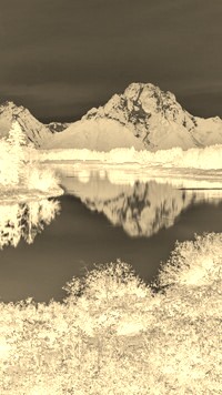 Sepia + Negatyw