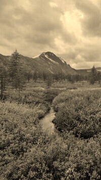 Sepia