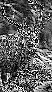 Skamielina