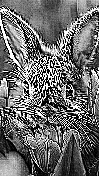 Skamielina