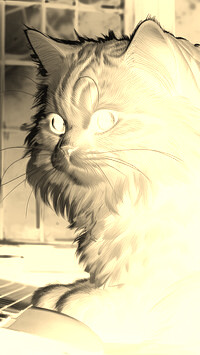 Sepia + Negatyw