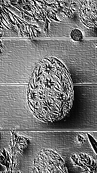Skamielina