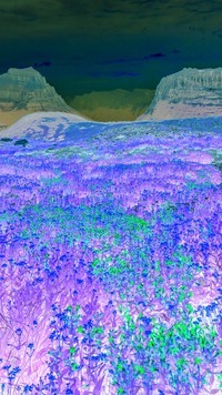 Negatyw