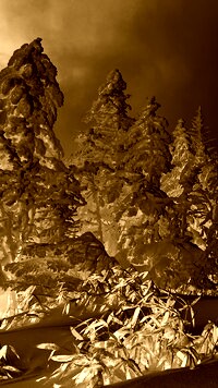Sepia + Negatyw
