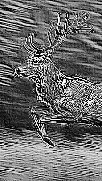 Skamielina