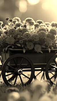 Szary + Sepia