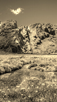 Sepia