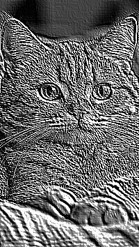 Skamielina