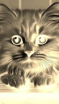 Sepia + Negatyw