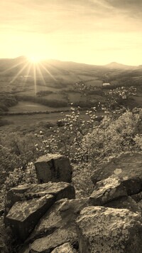 Sepia