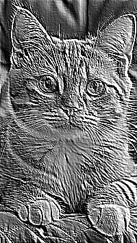 Skamielina
