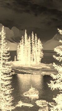 Sepia + Negatyw