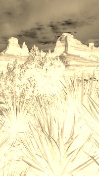 Sepia + Negatyw