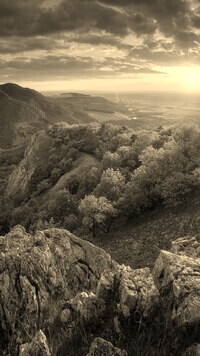 Sepia