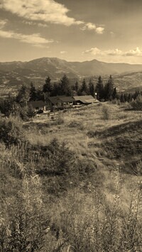Sepia