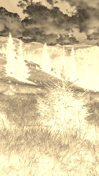 Sepia + Negatyw