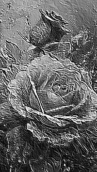 Skamielina