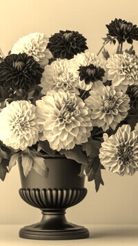 Szary + Sepia