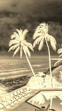 Sepia + Negatyw