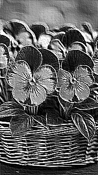 Skamielina