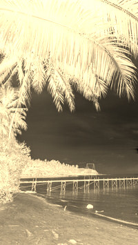 Sepia + Negatyw