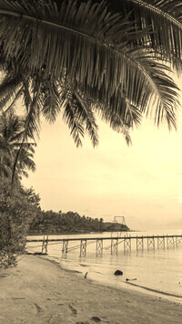 Szary + Sepia