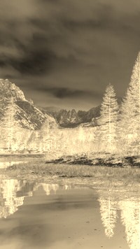 Sepia + Negatyw
