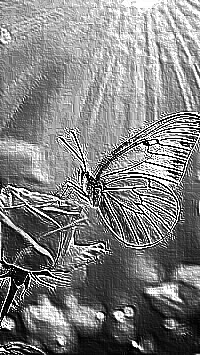 Skamielina