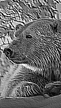 Skamielina