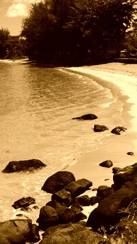 Sepia